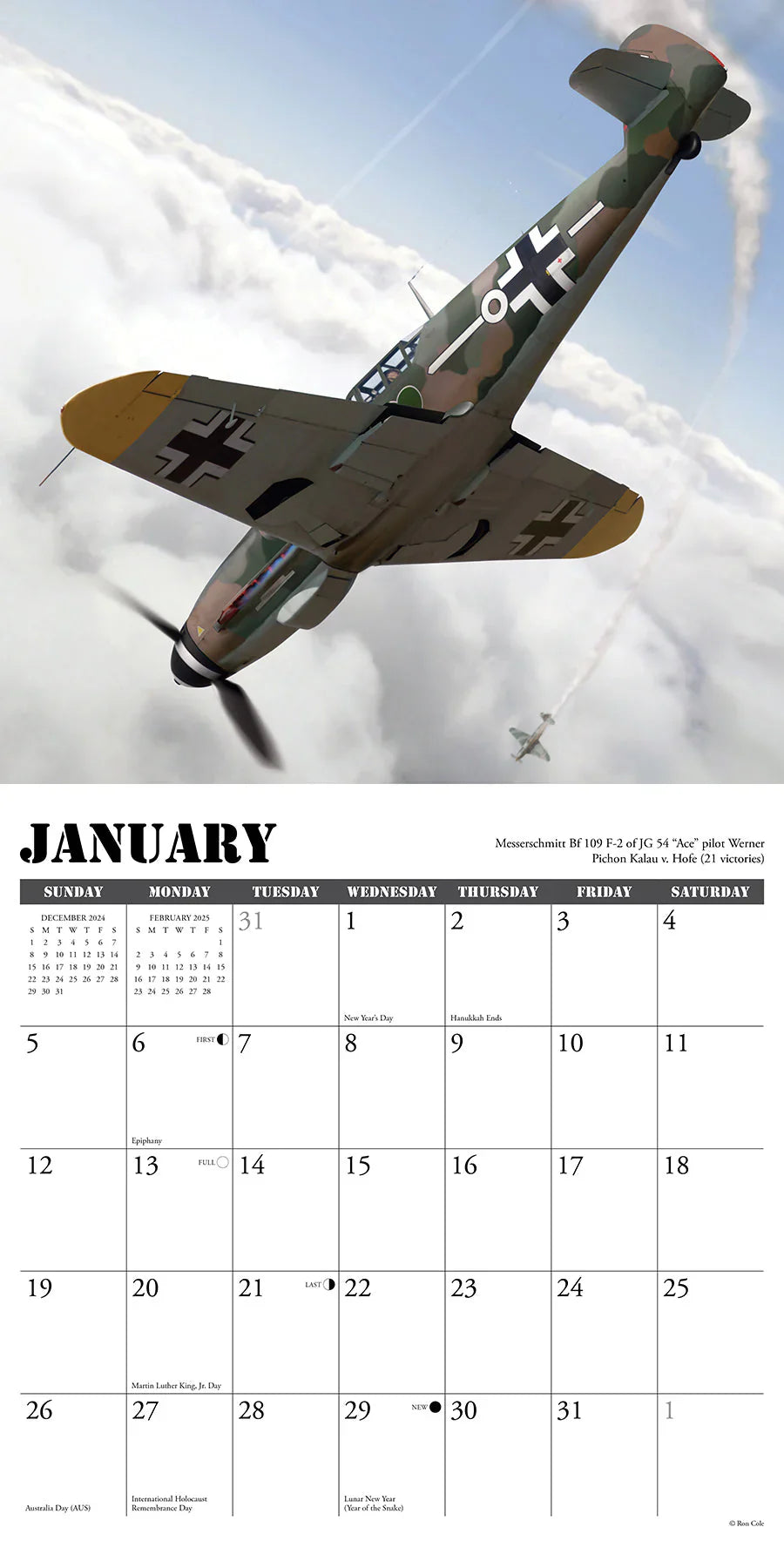 Warbirds of WWII 2025 Wall Calendar