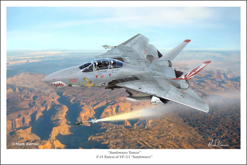 F-14 Tomcat - "Sundowners Tomcat" Print